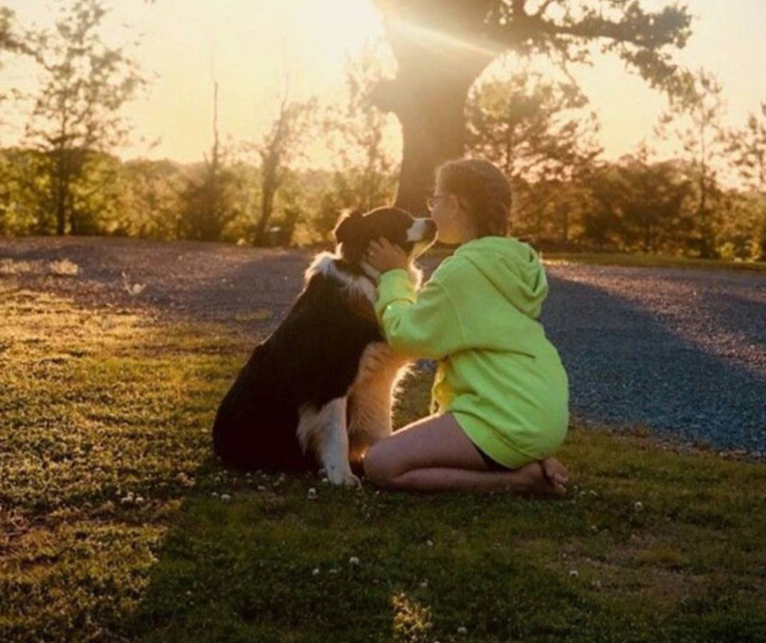 a person sitting on grass with a dog kissing her