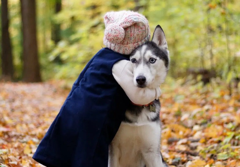 a dog hugging a person